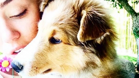 Miley Cyrus com seu novo cachorro e mais nas imagens da semana