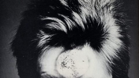 Veja galeria com grandes nomes da música que nos deixaram no primeiro semestre de 2016