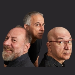 Os Paralamas do Sucesso