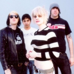 The Distillers